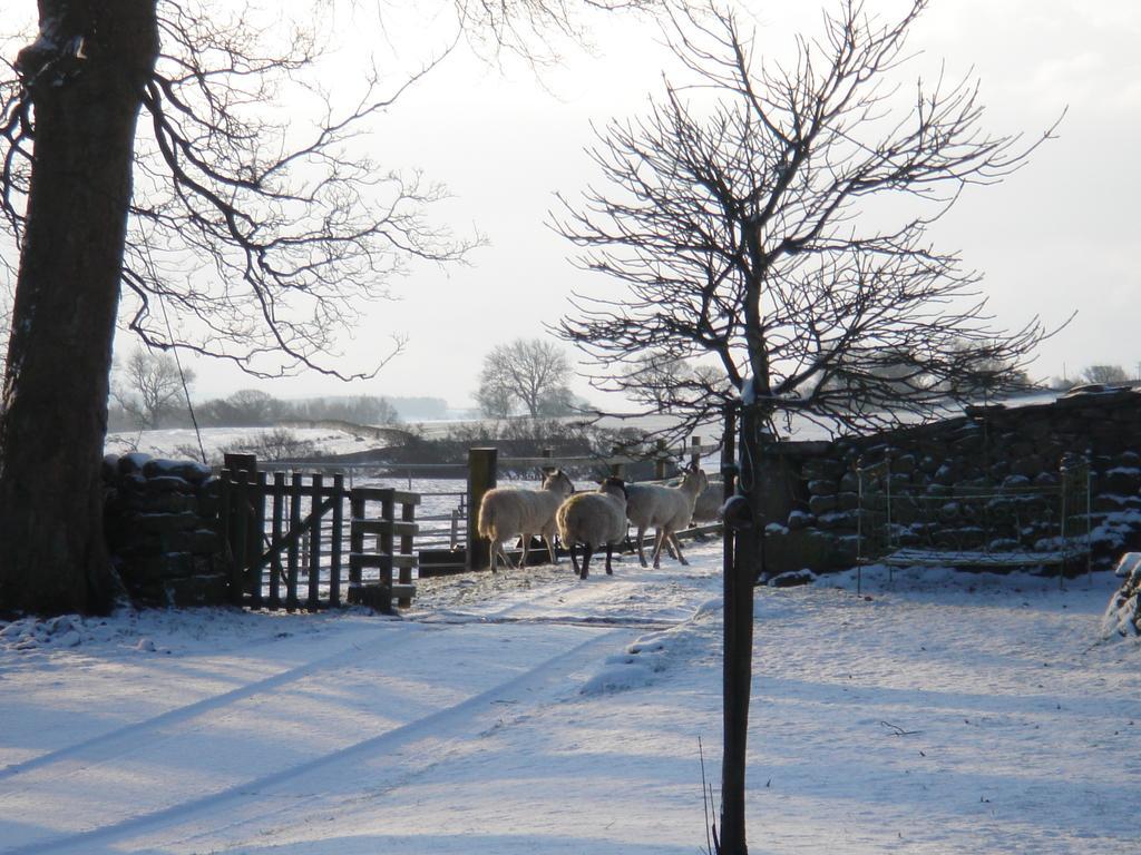 Littlebank Country House Settle Buitenkant foto