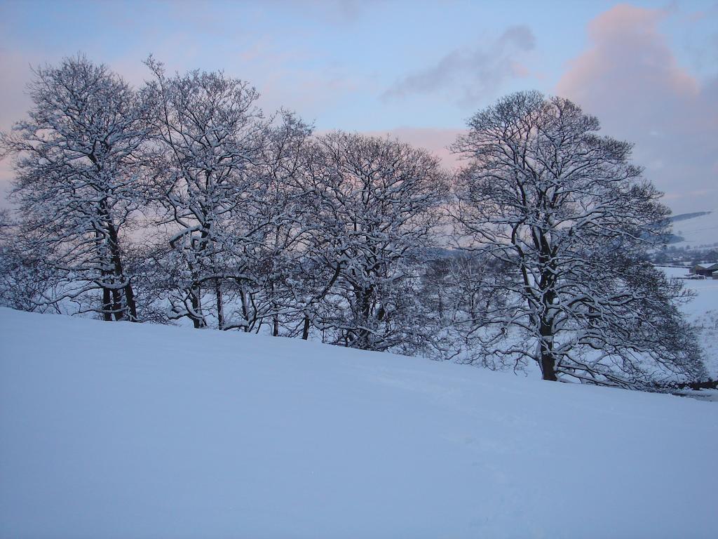 Littlebank Country House Settle Buitenkant foto